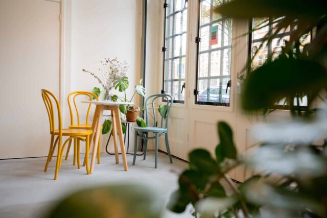 Balanzs Nieuwe achtergracht